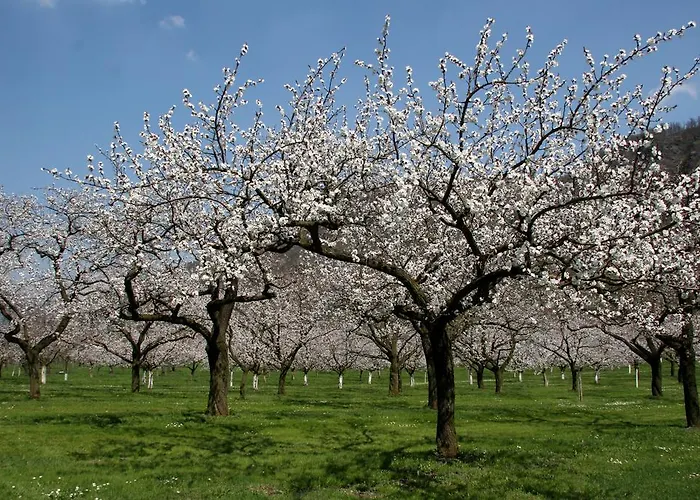 Appartement Haus Gerstbauer
