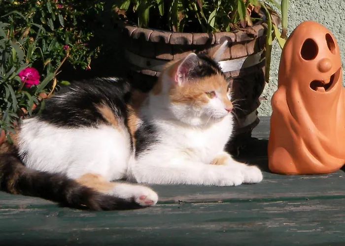 Haus Gerstbauer Aggsbach